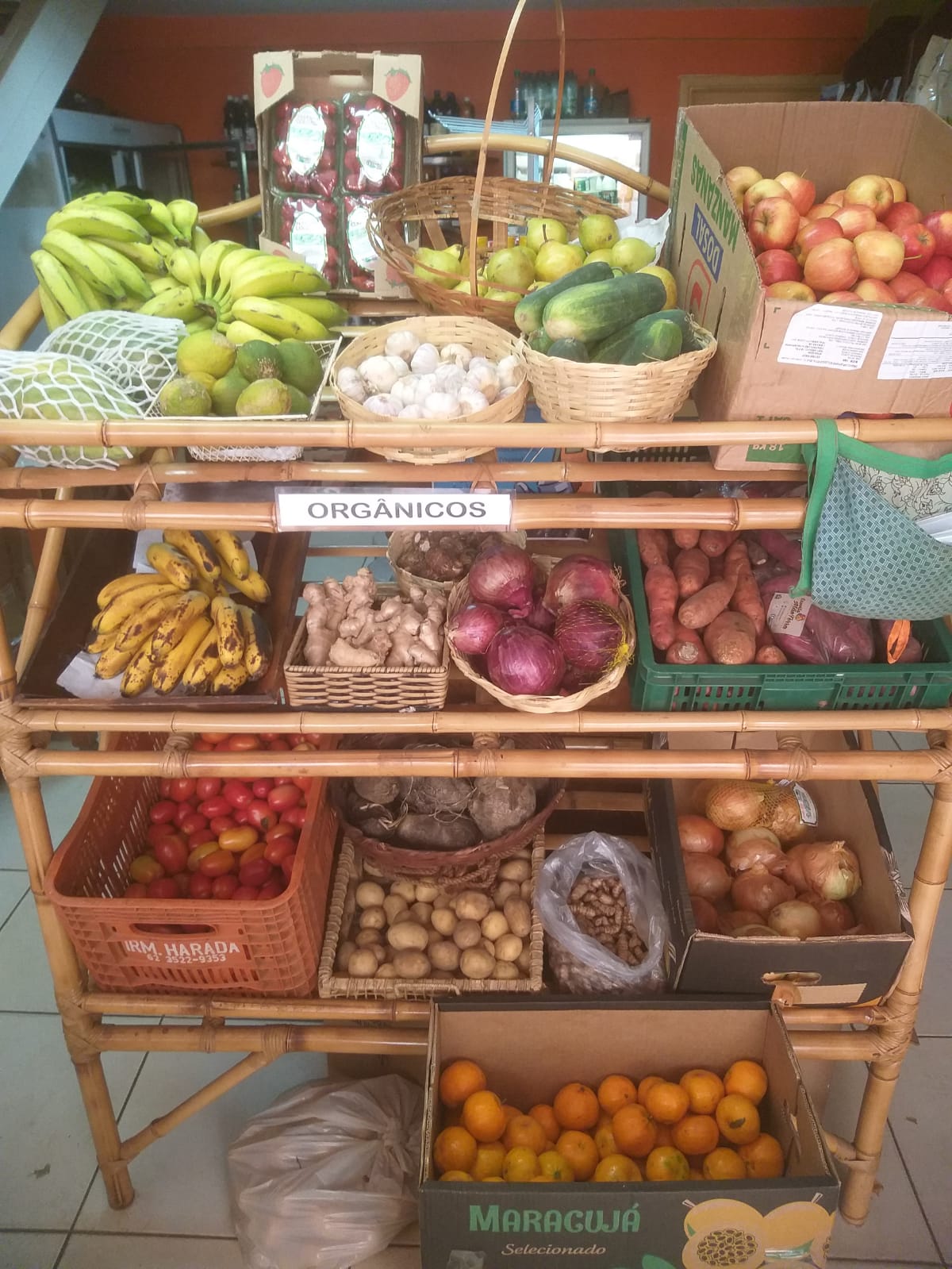 Foto loja T 2 estante de verduras 25.9.24.jpeg